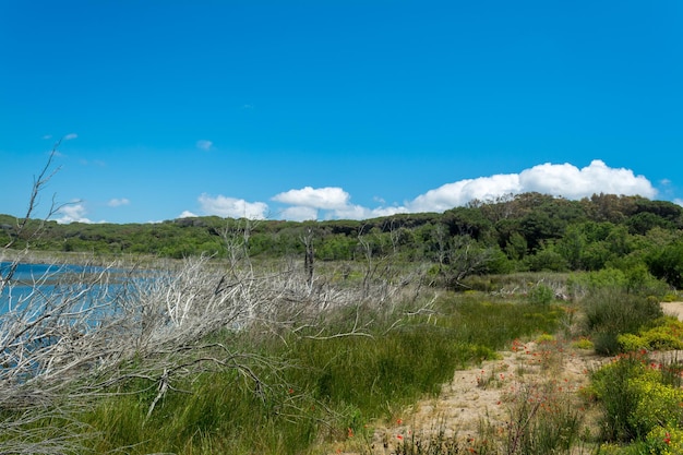 Landscape of Lake Baratz