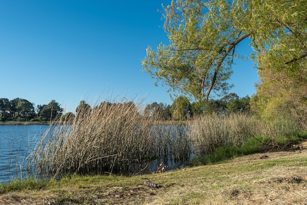 Landscape of a lake in Canelones Uruguay