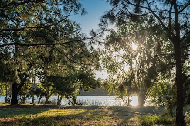 Landscape of a lake in Canelones Uruguay