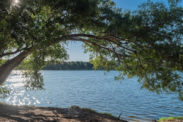 Landscape of a lake in Canelones Uruguay