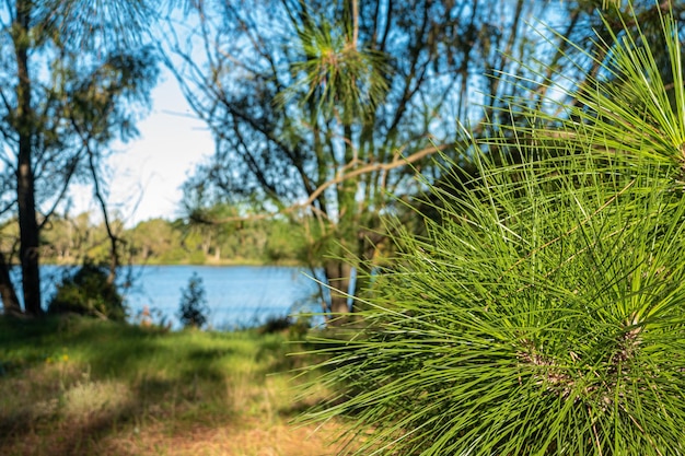 Landscape of a lake in Canelones Uruguay