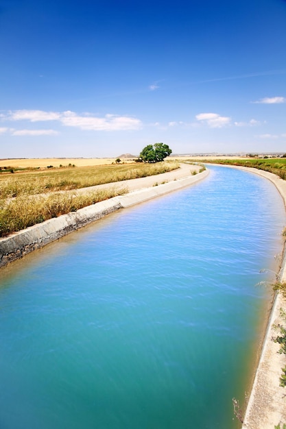 Landscape. Landscape with irrigation water channel and tree