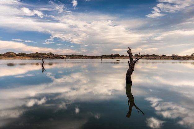 Landscape in the Molano reservoir. Spain.