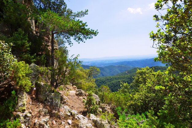 landscape of Montseny. Catalonia