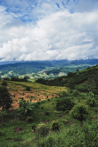 Landscape  of  Mountain in  Nan province Thailand