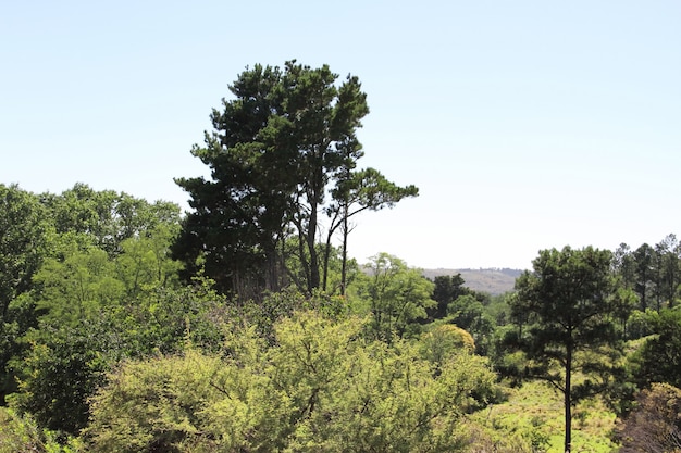 landscape of mountain ranges in summer