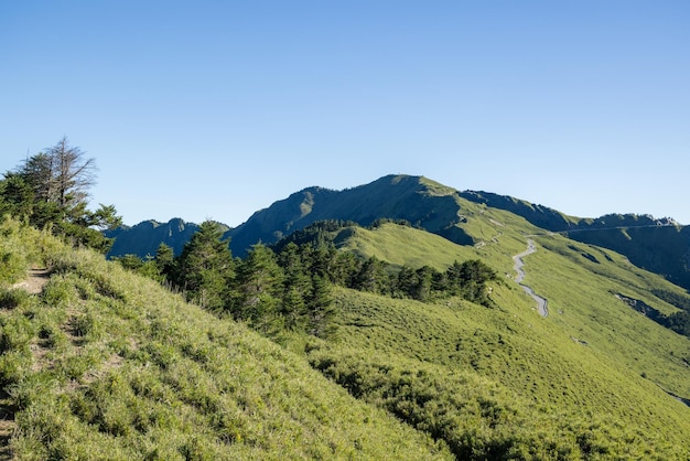 Landscape mountain view of Hehuanshan in Taroko national park at Taiwan