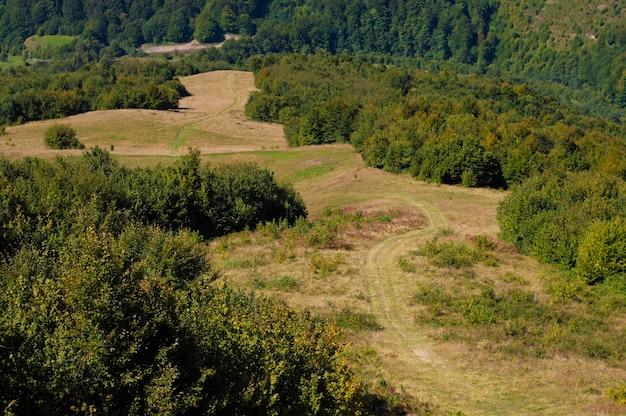 Landscape mountainous area green slopes