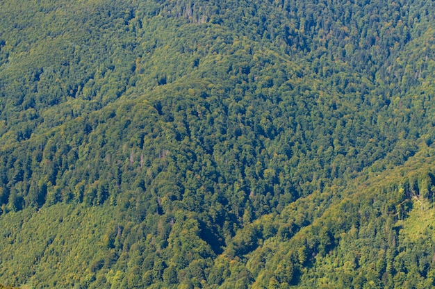 Landscape mountainous area green slopes