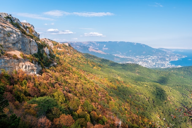 Landscape of the mountains covered with trees