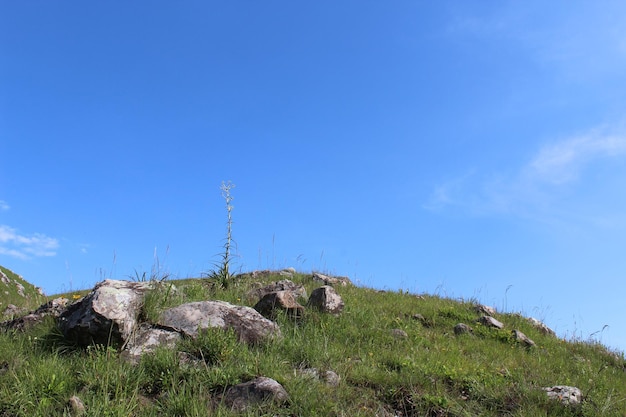 Landscape in the mountains