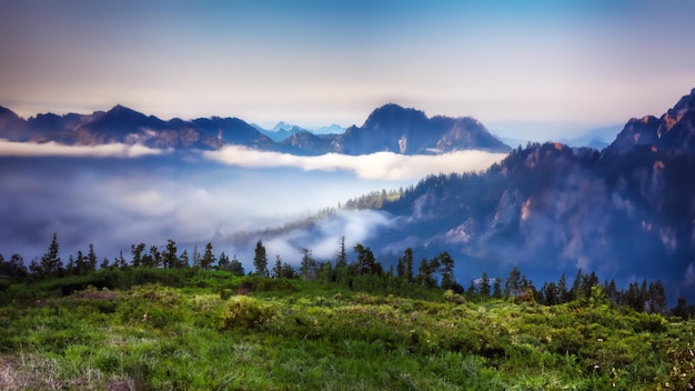 landscape of mystical valley