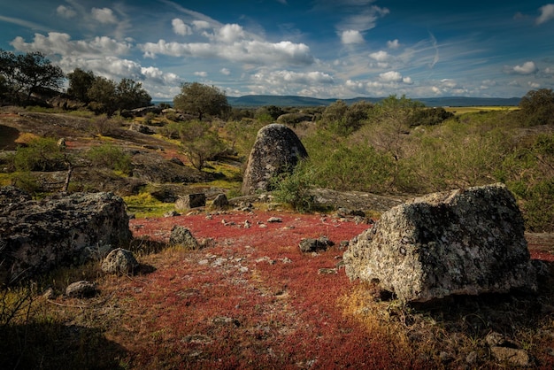 Landscape in the Natural Area of Barruecos Extremadura Spain