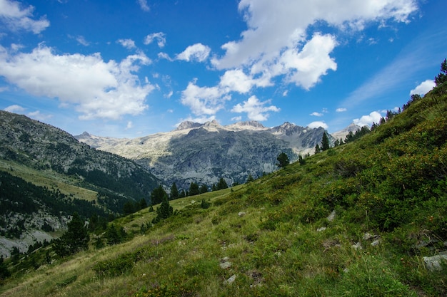 Landscape Natural mountain view Pyrenees on summer, aragon, spain