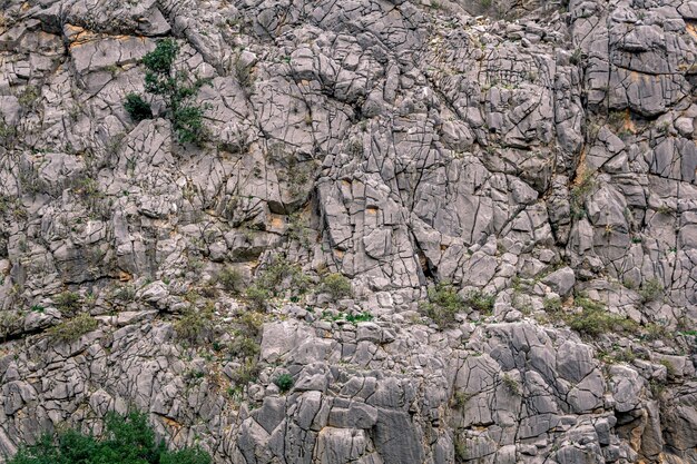 Landscape, natural texture - sheer rocky wall with cracks and vegetation