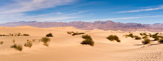 Landscape nature desert sand orange pattern valley park national outdoor wilderness yellow calif