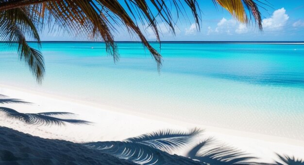 Landscape Nature panorama Beach blue sky