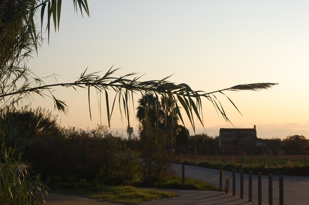 Landscape On nature during sunset