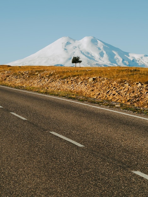 Landscape of the north caucasus mount elbrus lonely trees fields and a road