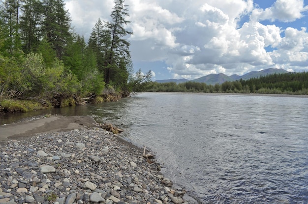 Landscape North of the river