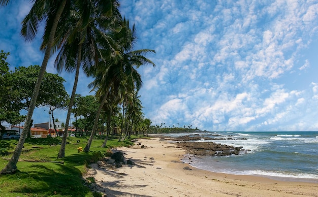 Landscape of Olivenca beach in Ilheus Bahia Brazil