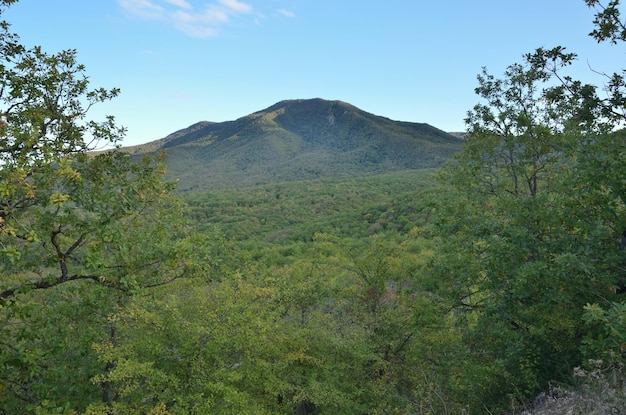 Landscape panorama with forest and mountains .Azerbaijan,Caucasus