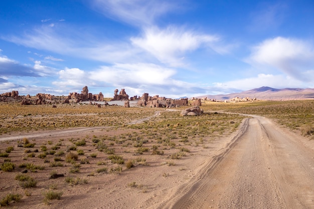 Landscape of a path in the desert