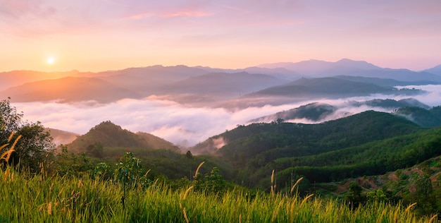 Landscape pictures of attractions in Yala Province, Southern Thailand The whole milky way Beautiful morning mist, suitable for traveling.