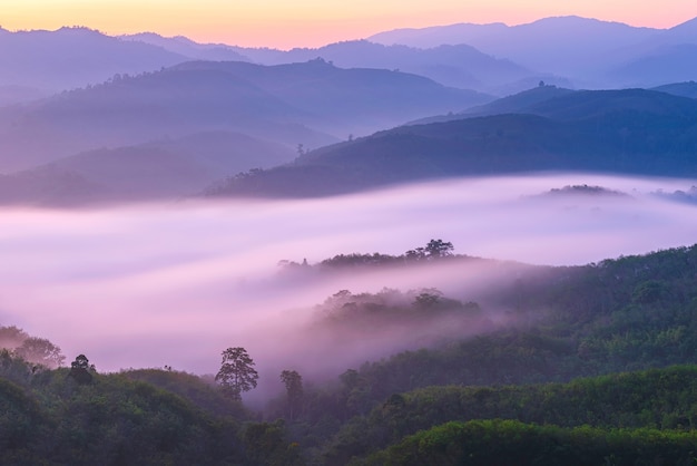 Landscape pictures of attractions in Yala Province, Southern Thailand The whole milky way Beautiful morning mist, suitable for traveling.