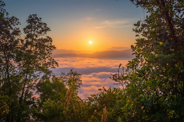 Landscape pictures of attractions in Yala Province, Southern Thailand The whole milky way Beautiful morning mist, suitable for traveling.