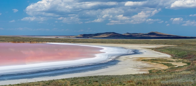 Landscape of a pink lake with salt