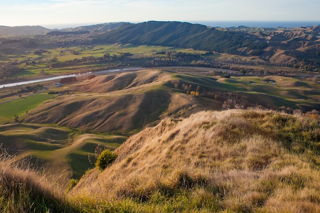 Landscape of region country. Te mata peak, New Zealand