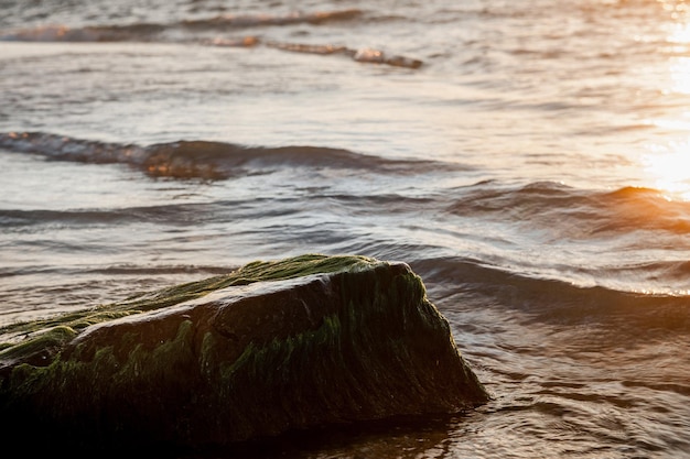 Landscape of the sea at dawn waves and splashes of water in the sun