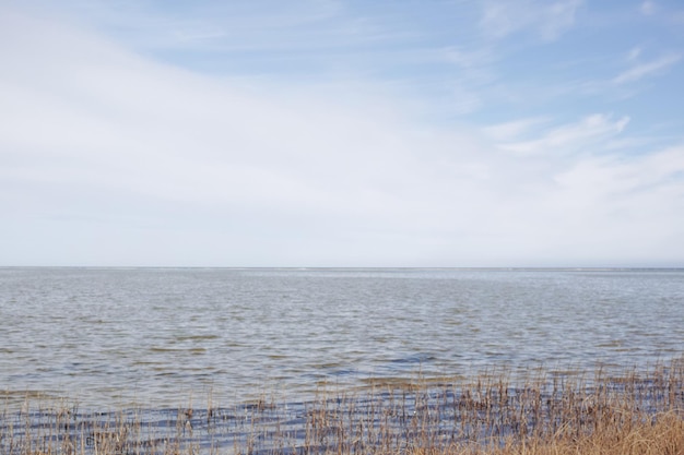 Landscape of sea lake or lagoon against a sky background with copy space Gulf with reeds and wild grass growing on empty coast in Norway Peaceful calm and beautiful fishing location in nature