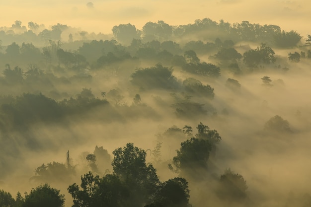 Landscape sea of mist on the mountain in Phetchabun province  Thailand.