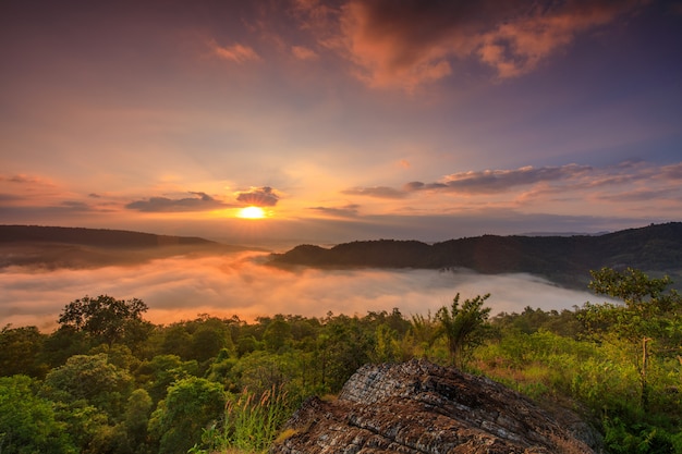 Landscape sea of mist above mountains