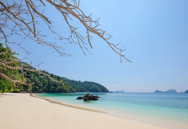 Landscape of sea sun rock sand beach under blue sky with green tree leaf branch. Summer holiday rela