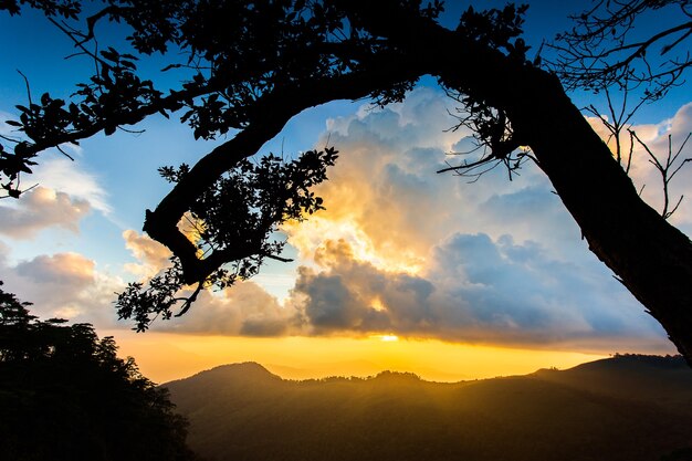 Landscape silhouette at Phu Soi Dao national park Thailand