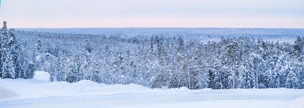 Landscape snowy winter forest panoramic view of frostcovered trees in snow drifts