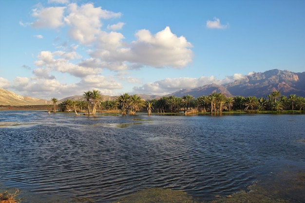 The landscape of Socotra island Indian ocean Yemen