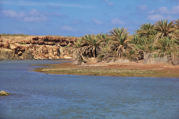 The landscape of Socotra island Indian ocean Yemen