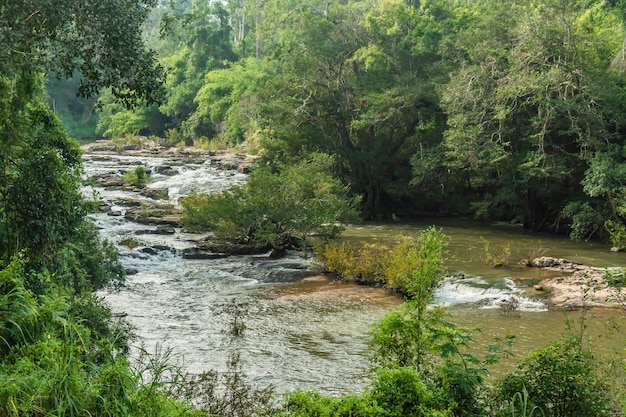 Landscape of streams and forests