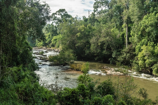 Landscape of streams and forests