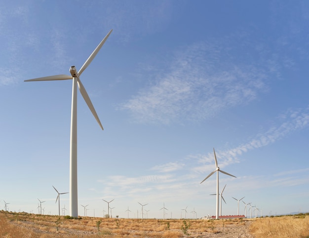 Landscape at sunrise with windmillsin a wind park. Renewable source of electricity. Clean energy and technology concept.