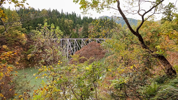 Landscape of Tadami Line in Fukushima, Japan