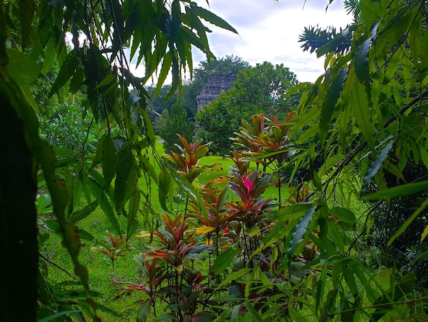 Landscape of Temple in the garden