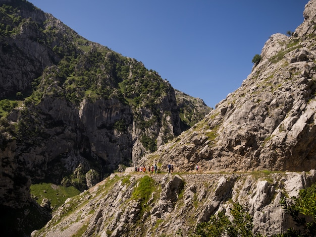 Landscape of trail crossing the mountains