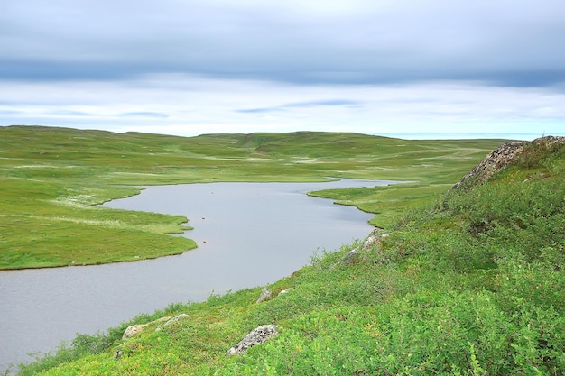 landscape tundra / summer landscape in the north tundra, moss, ecosystem