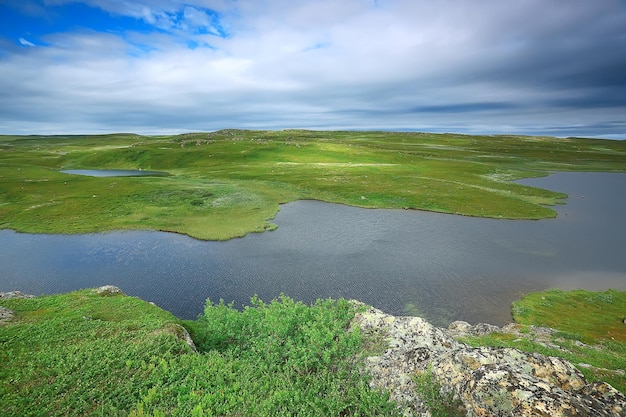 landscape tundra / summer landscape in the north tundra, moss, ecosystem