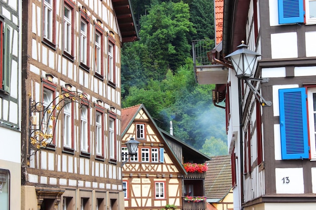 Landscape of typical houses in the German town of Schiltach.